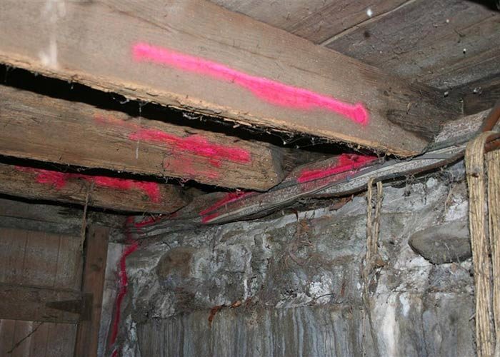 Joist replacement due to powder post beetle damage