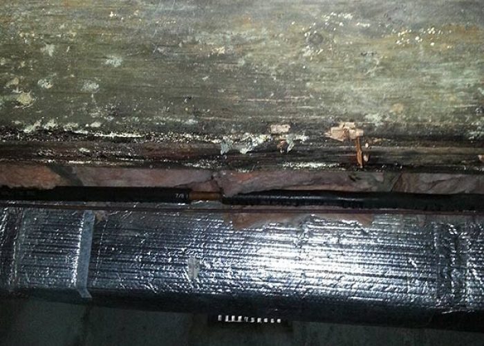 Fungus-damaged framing